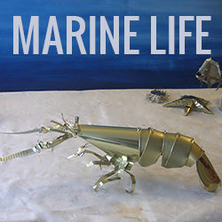 marine-life-thumbnail